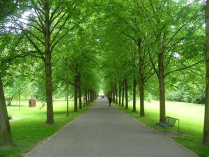 Ein Garten an der Unterkunft Ferienwohnung Rheinaue