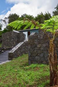 ein Gebäude mit einer Steinmauer und einem Baum in der Unterkunft O Farrobo in Madalena