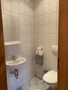 にあるWanderreithof Heimelsteinerのトイレと洗面台付きのバスルーム