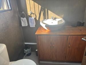 ein Badezimmer mit Waschbecken und Toilette in der Unterkunft Shepherd's Cottage Smithfield in Smithfield + 15 Fotos