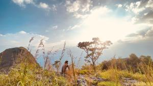 Φυσικό τοπίο κοντά σε αυτό το κάμπινγκ +22 φωτογραφίες