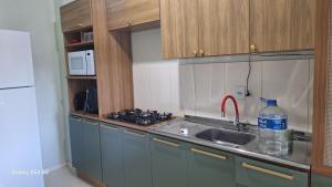 a kitchen with a sink and a counter top at Flat Harmonia in Harmonia