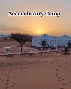 メルズーガにあるAcacia Luxury Campの夕暮れの砂漠にあるアニアの高級キャンプ