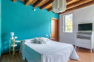 1 dormitorio azul con 1 cama y TV en RaBi Rooms - Rafting & Bike Rooms, en Valbrenta 
