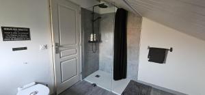 a bathroom with a shower and a toilet at La cherpée in Lhommaizé +25 photos