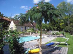 Una palmera sentada junto a una piscina en The Duplex - Domaine De L'ô, en Bellacaud