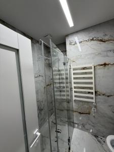 a bathroom with a glass shower with a ladder at Birstonas Holidays Apartment in Birštonas