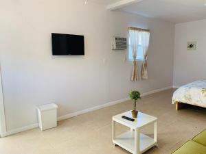 TV a/nebo společenská místnost v ubytování Zen Garden Studio