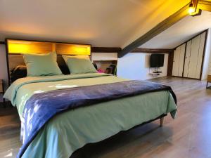 a bedroom with a large bed in a room at Villa Garona avec billard proche Pyrénées in Cazères +19 photos