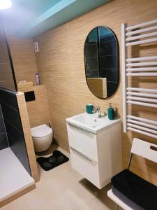 ein Badezimmer mit Waschbecken, Toilette und Spiegel in der Unterkunft Le Rocher de Bel Air -40m2 -Chaleureux 3 étoiles in Saint-Aignan-Grand-Lieu
