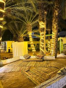 Fotografie z fotogalerie ubytování Badya Camp بادية كامب v destinaci Dahab