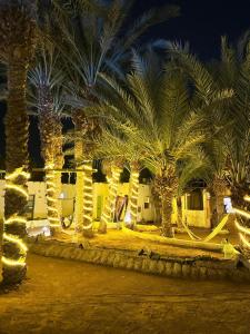 Zahrada ubytování Badya Camp بادية كامب