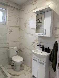 a white bathroom with a toilet and a sink at Apartman na dan Pecinci in Pećinci