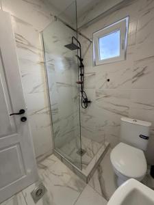 a bathroom with a shower and a toilet at Apartman na dan Pecinci in Pećinci