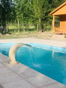 a swimming pool with a fountain in the middle of it at Cabañas El bosque DLM in Uspallata