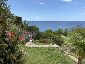 Un paisaje natural cerca de la villa