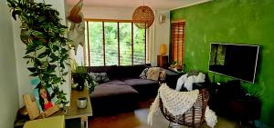a living room with a couch and a green wall at Villa in the forest of Amsterdam with Pool in Velsen-Zuid