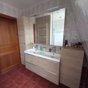 a bathroom with a sink and a mirror at Les pervenches in Illkirch-Graffenstaden
