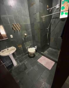 a bathroom with a shower and a toilet and a sink at Sítio Serra Verde in Guapimirim +6 photos