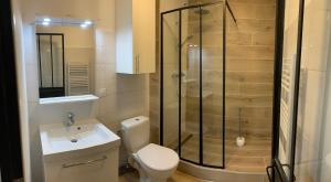 Un baño con ducha, inodoro y lavabo. en 2 suites dans un duplex, en Oloron-Sainte-Marie