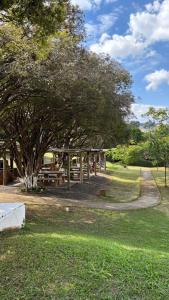 a picnic shelter under a tree in a park at Flat dos sonhos in Serra Negra +70 photos