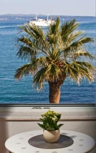 a table with a palm tree in front of a window at Apartment Banjo Polo in Split