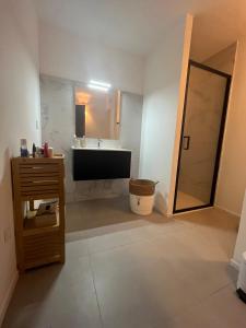 une salle de bain avec lavabo et douche dans l'établissement amazing sea front apartment, à Pianottoli-Caldarello