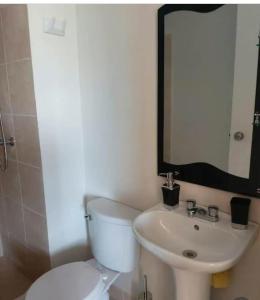 ein Badezimmer mit Toilette, Waschbecken und Spiegel in der Unterkunft Departamento 3 dormitorios Tacna en condomio privado in Tacna