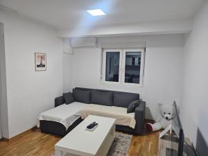 Χώρος καθιστικού στο Apartman Bisevac