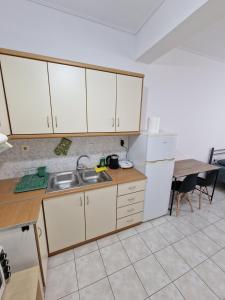 eine Küche mit einer Spüle, einem Kühlschrank und einem Tisch in der Unterkunft Diana's Cozy 24 Studio in Ioannina