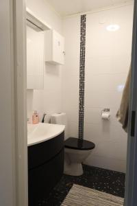 a bathroom with a toilet and a sink and a shower at Luxury Apartment in the Heart of Pello in Pello +24 photos