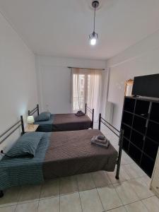 1 Schlafzimmer mit 2 Betten und einem TV in der Unterkunft Diana's Cozy 24 Studio in Ioannina