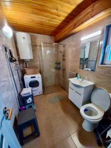 a bathroom with a toilet and a sink and a washing machine at Copacabana Sinteu in Şinteu +90 photos
