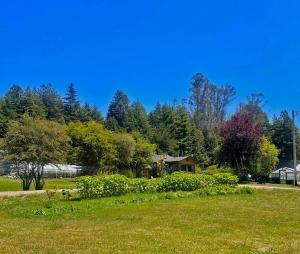 un parc avec une maison au milieu d'un champ dans l'établissement Peaceful Farm Airstream Camper Retreat - Hot Tub, à Eureka
