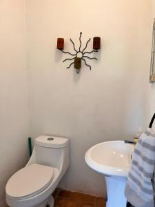 Imagem da galeria de Finca Los Almendros em Capulín