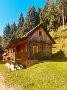 a large wooden cabin in the middle of a field at Naturblick in Donnersbach