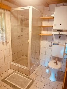 a bathroom with a shower and a toilet at Naturblick in Donnersbach
