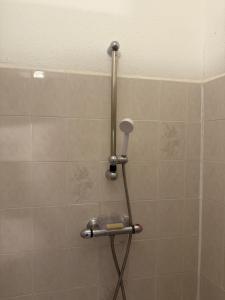 a shower in a bathroom with a tile wall at Appartement Cozy in Céret