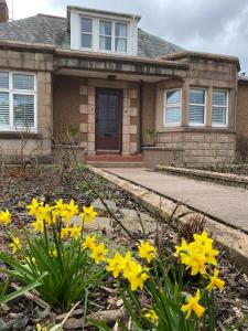 a house with yellow flowers in front of it at 7 Goathill Crescent in Stornoway