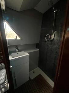 Vannituba majutusasutuses Beautiful boat in rural surroundings near Beverley