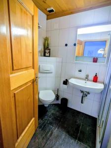 a bathroom with a toilet and a sink at Chalet Talisman auf der Riederalp in Riederalp