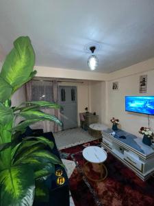 sala de estar con una planta grande y TV en Haus Cossie, en Machakos