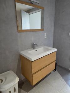 un baño con lavabo e inodoro en Chez sally, en Le Bouchaud