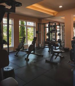 a gym with treadmills and ellipticals in a room at Apartman Ada Milica in Železnička Stanica Incel