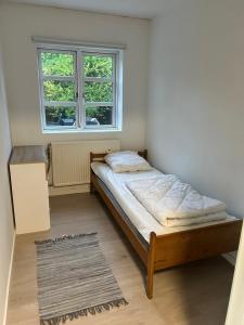 a bed in a room with a window and a rug at AWCompany Aps WORK & STAY-North Zealand Crew Accommodation in Tisvildeleje