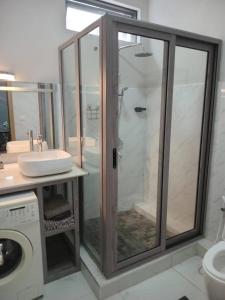 y baño con ducha, lavabo y lavadora. en Shanti Haveli Beachfront Appt, en Flic en Flac