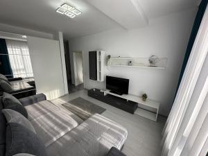 RoşuにあるMT Residential Studioのソファと薄型テレビのあるリビングルーム