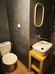 a bathroom with a toilet and a sink and a mirror at Kořenov 10 chalupa na horách in Kořenov +17 photos