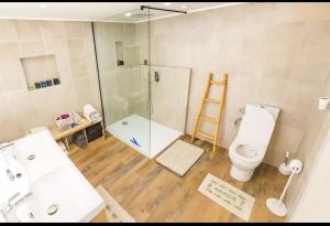 a bathroom with a shower and a toilet and a sink at Dôme du haut bearn in Monein