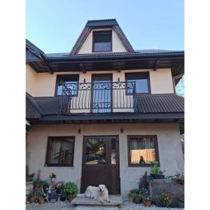 Κατοικίδιο ή κατοικίδια επισκεπτών που μένουν στο Sądelska Chałpa